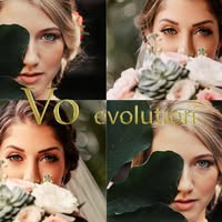 VO evolution