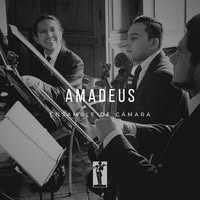 Ensamble de Cámara Amadeus