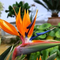 Jardín Rincón Paraíso