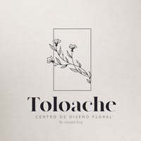 Toloache