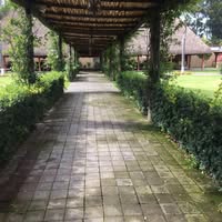 Tarantela Eventos