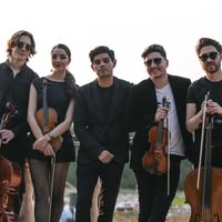 Polaris Strings